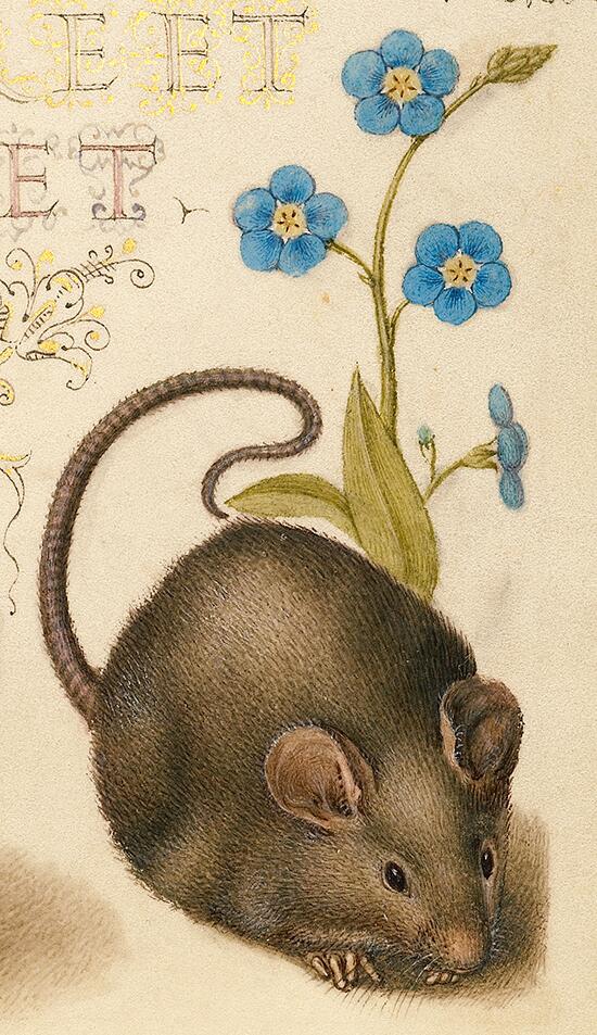 read Ubiquitin Family Modifiers and the Proteasome: