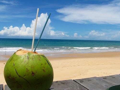IbizaNET's tweet image. RT “@IborraHnos: #Refrescate con agua de coco verde y sus multiples propiedades @IborraHnos ... #ibiza #cocofresh http://t.co/HkJ0YuiDkI”