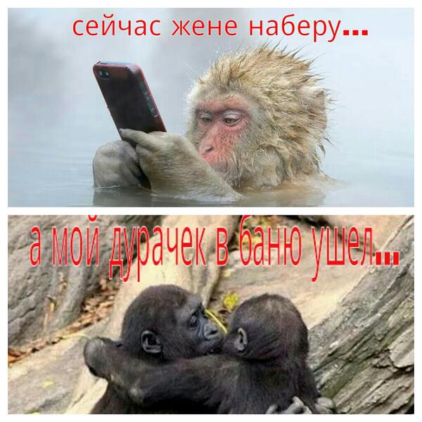romanbabar's tweet photo. Такова жизнь... #megodoo http://t.co/H4LDTa72IE