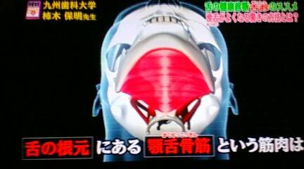 Yotta Leoso Sala Ky 滑舌をよくするには 喋る前に顎舌骨筋を指で強めにマッサージしてほぐすのがオススメですね 劇的に滑舌が良くなりますよ ノ Http T Co Akhlnm285i Yotta Leoso Sala Ky 滑舌をよくするには 喋る前に顎舌骨筋を指で強めにマッサージしてほぐすのがオススメですね 劇的に滑舌が良くなりますよ ノ Http T Co Akhlnm285i