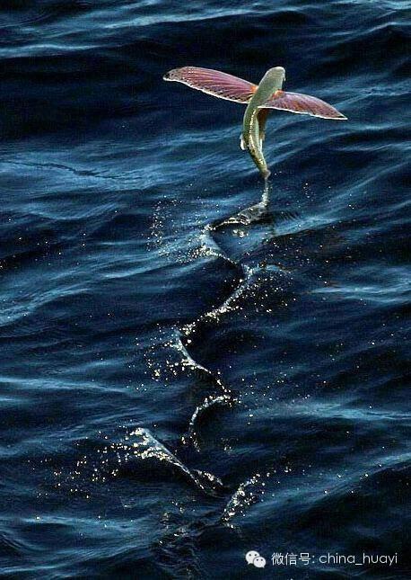 아름다운  영상