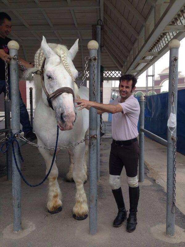 Quesos El Bosqueño (@quesoselbosque) on Twitter photo 