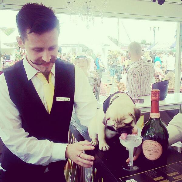LilLiwin's tweet photo. @AGlassOfClass1 Thanks for the champers water today! Super cool bar :-) G. http://t.co/2AsvokPvgX