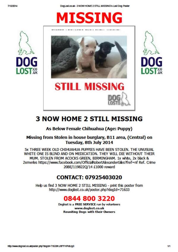 Juney2014's tweet photo. PLZ RT @NWDogRescue 2 #STOLENPUPS STILL MISSING need medicine & mum 2 survive-only 3wks old #Female #Chihuahua REWARD http://t.co/c2iSpeH56B