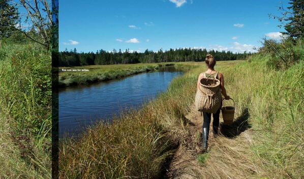 Sometimes, walking though the woods and gathering food direct from nature, the only words that matter are thank you.