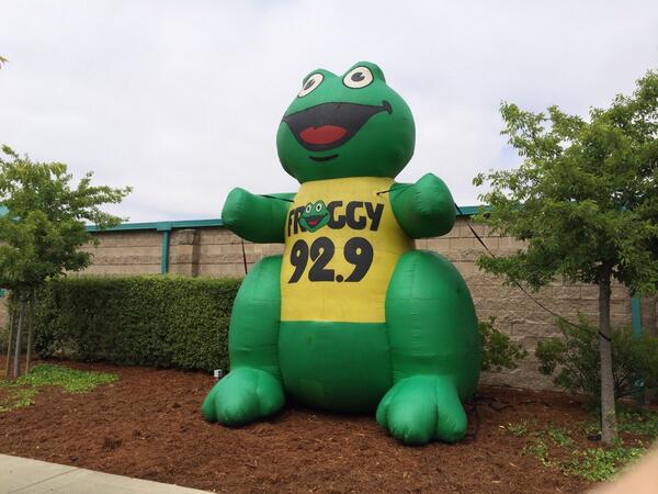 StorageMasterSR's tweet image. We have a frog in our... Yard? Thanks for coming out today @929Froggy!