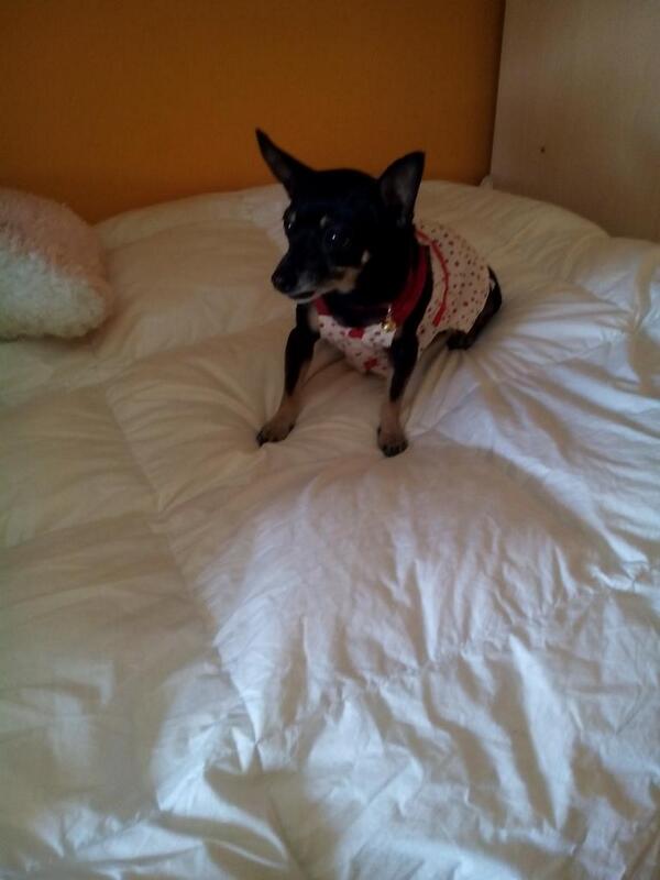 derelax com mi gorda ð