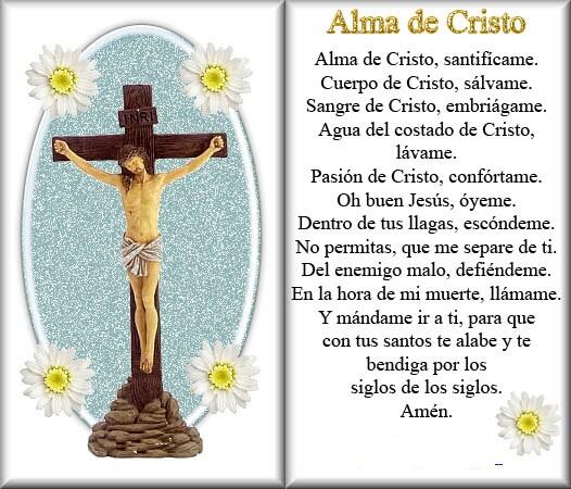 TAADPM's tweet photo. Muy buena oración para todos los días http://t.co/EaWaPdJkRM