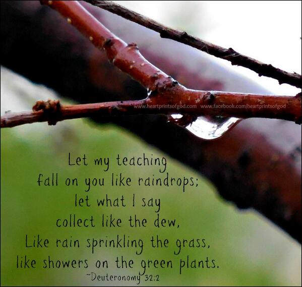 StacyLSanchezHP's tweet image. Yes, Lord. May Your Word fall on me like rain.~&amp;lt;3  #refreshme #intheword