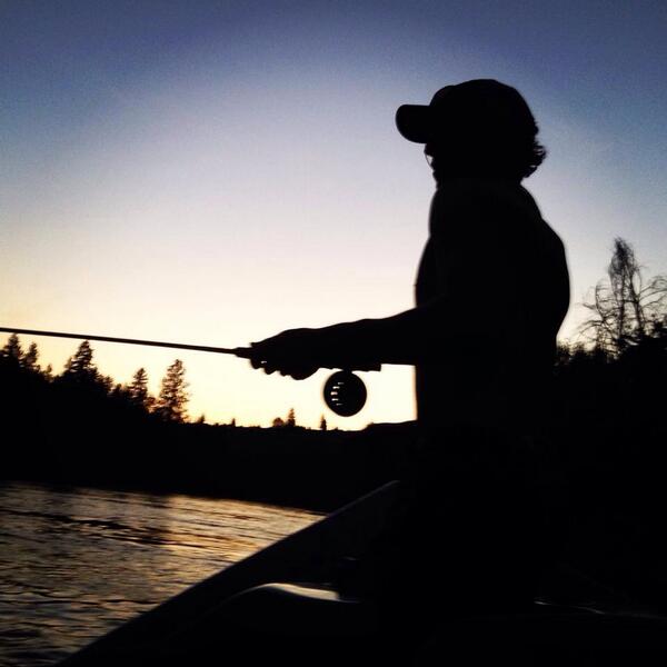 ChaceBell's tweet photo. Nice caddis hatch on the Spokane R yesterday! #flyfishing @repyourwater http://t.co/RFVkDcZpuX