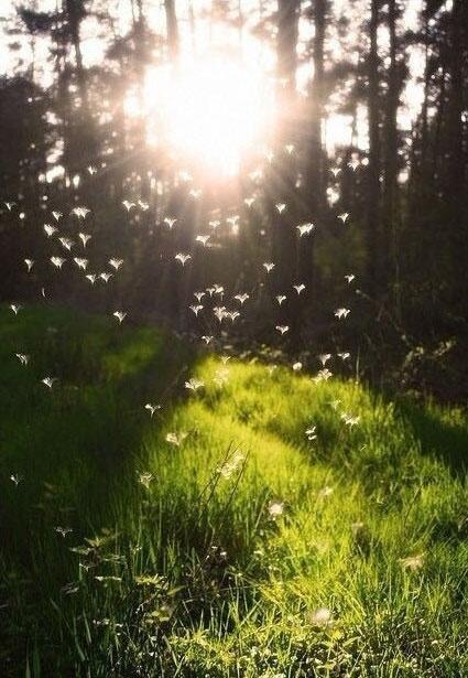 不管昨天、今天、明天，能豁然开朗就是美好的一天。