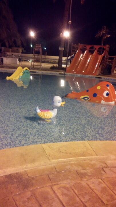 relfon's tweet photo. Para casa, que cierran ya la piscina, los nanos se lo han pasado de lujo :) #pokeroff http://t.co/PRK6WFEVFu