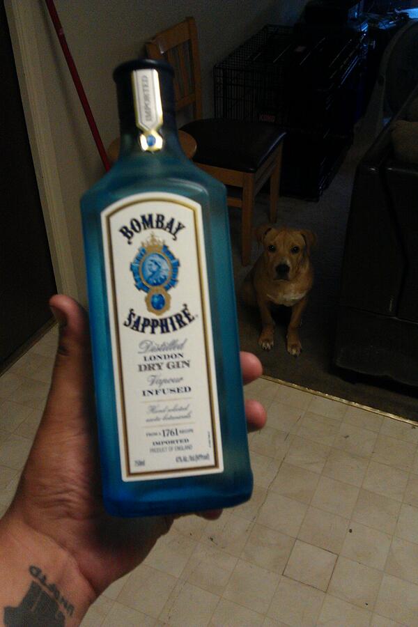 Jonga_Bitch's tweet image. Ready for #BombBayNight #BombBay #Sapphire #GinAndJuice #TurnUp #TrippyMane @therealjuicyj you're invited!!