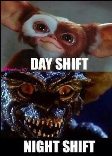 GhettoGunFightr's tweet image. #DAYWATCH vs #NIGHTWATCH
LOL