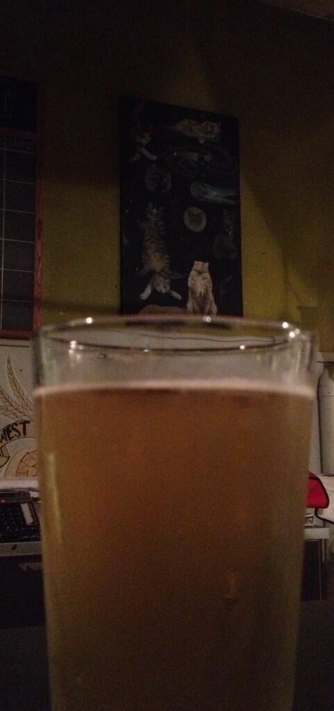 dockstreetlex's tweet photo. Cats in Space and the Berliner mixed with summer session! Who could ask for anything else on a hot day? http://t.co/Cju54WA34L