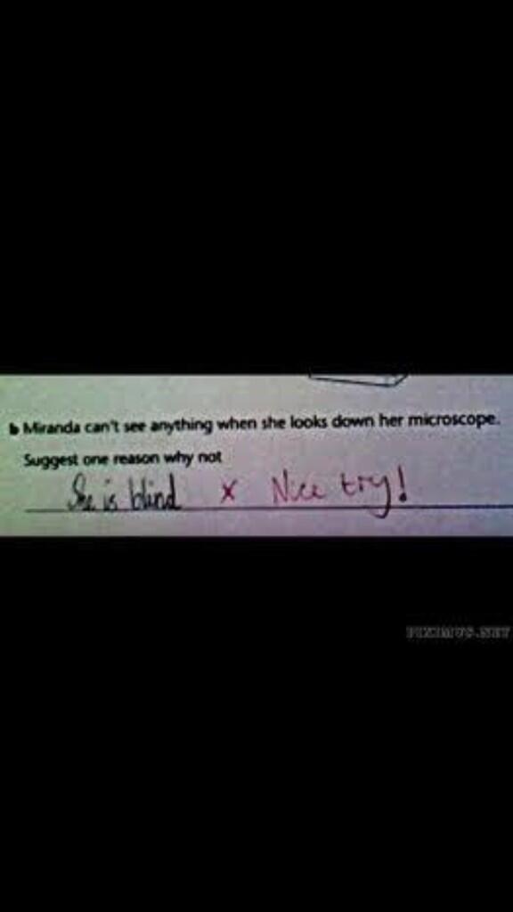 “<a href="/FactsOfSchool/">Facts Of School</a>: Nice try! ”I probably would have put this as an answer in high school too haha