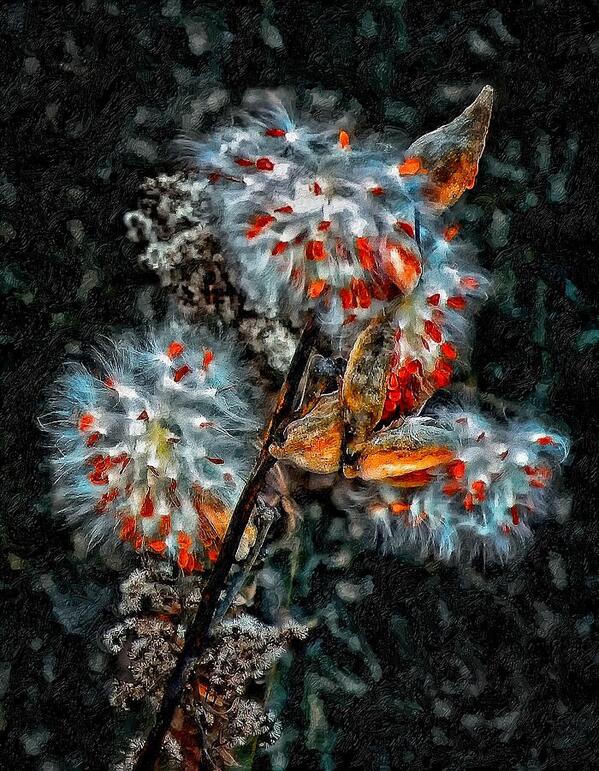 JetPain's tweet image. I love this