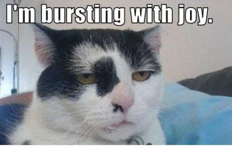 brink_andries's tweet photo. When I realise I have to go to school tomorrow http://t.co/QqIx1jDV0u