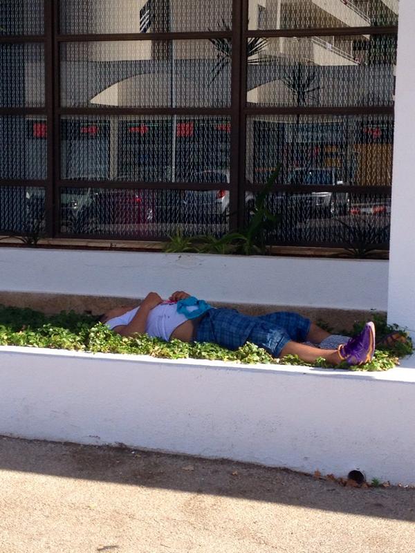 MagalufReality's tweet photo. Booking at @mallorcarocks garden #mallorca Low Cost 😜 Prices 😎 Enjoy your summer 2014 http://t.co/SkEeObmFHD