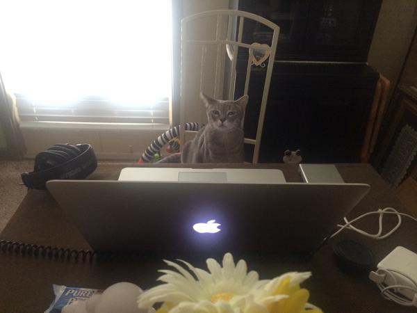 FracturesFilms's tweet image. Our editor is hard at work. #48nola