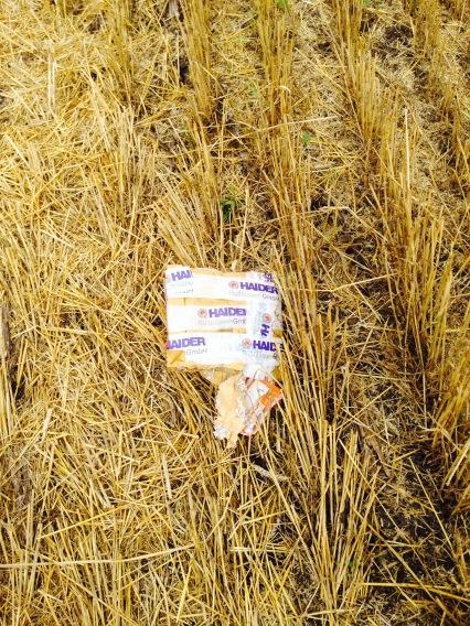 View image on Twitter