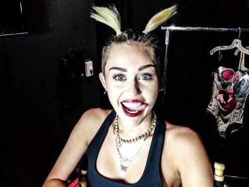 TheRealEmuCyrus tweet picture