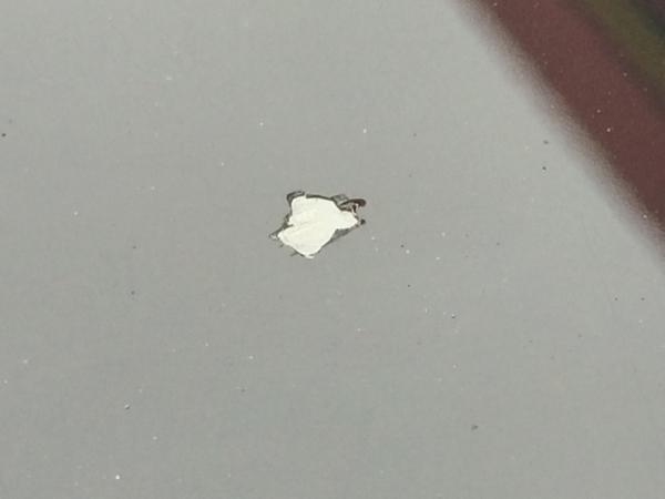 Kevin Tipton tweet media