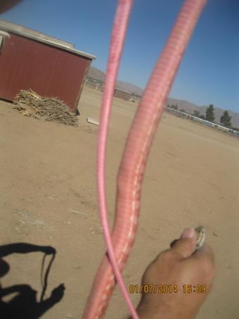 pretty color i let him go didnt keep him hahaha http://t.co/fpH9cxBUKJ