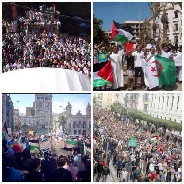 HekimlerGazzeye's tweet image. Cezayir, İspanya ve Güney Kore, Gazze&apos;deki ölümlerin durması için çağrı yaptı. 

#GazaUnderAttack #GazzedeKatliamVar