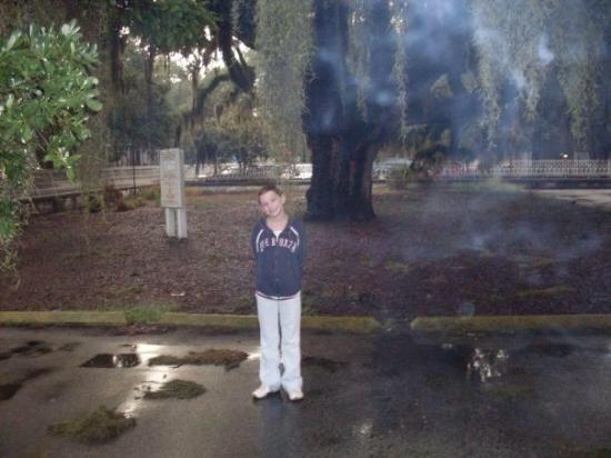 PhantomImages's tweet image. Is it a spirit or just a mist?