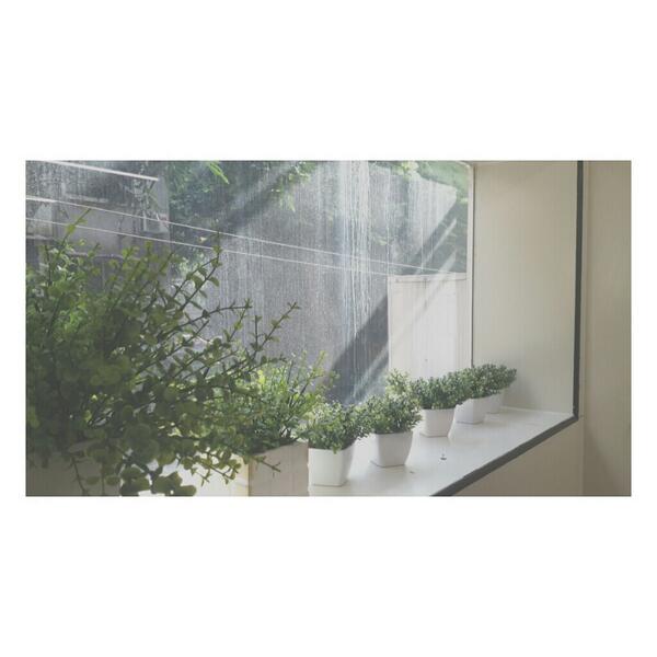 yanienyo's tweet photo. #Morning 🍃 http://t.co/ckozHO1oV3