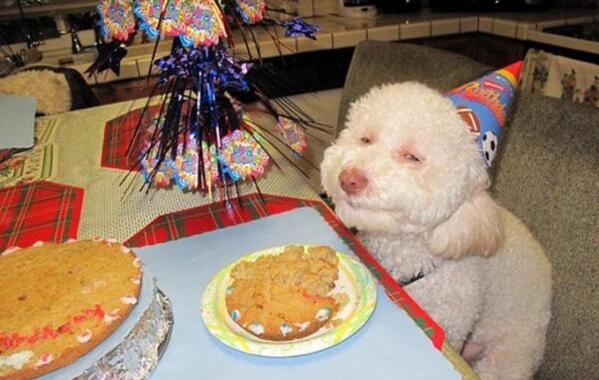 ExplainTheImage's tweet image. 