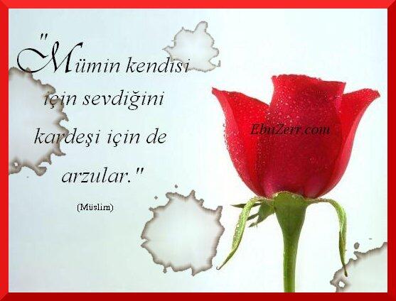 IsmailovTelman's tweet photo. dostluq tanisliq http://t.co/5yrpnNnHMo