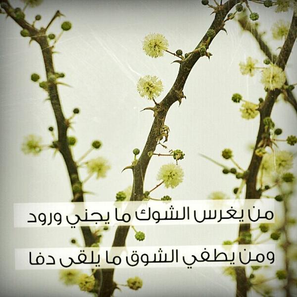 aloatheg's tweet photo. من يغرس الشوك مايجني ورود http://t.co/ctXPeu0Iaf