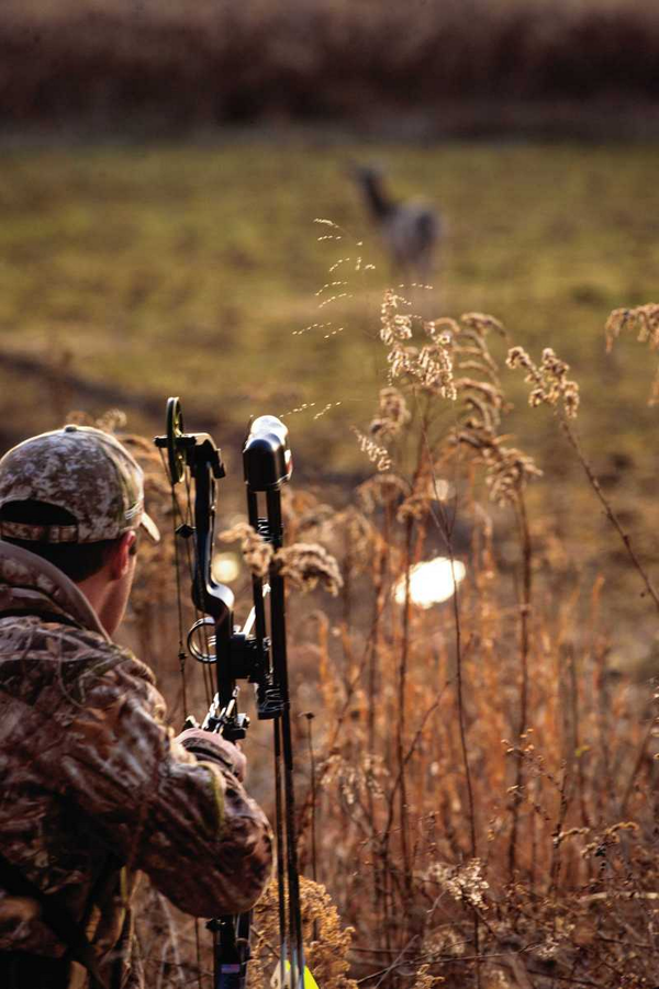 Cabelas's tweet photo. It's a feeling you get deep in your bones. 

The field. 
The outdoors. 
The hunt. 

It's coming. http://t.co/qEeuxdowWY