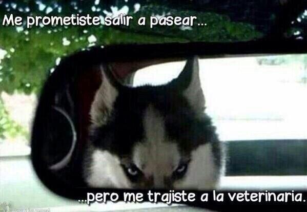 9lex9's tweet photo. @Gabi_Espaa http://t.co/OrPRurVdr2