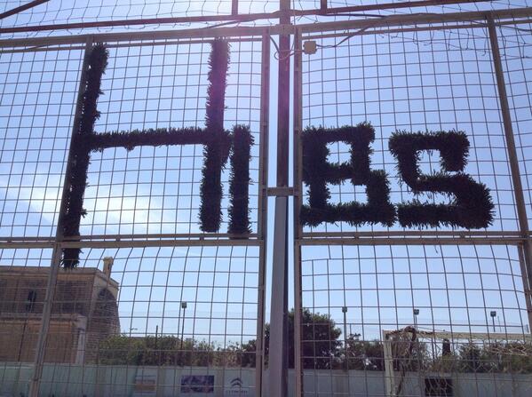 CalumB98's tweet image. #hibsinmalta #HiberniansFC