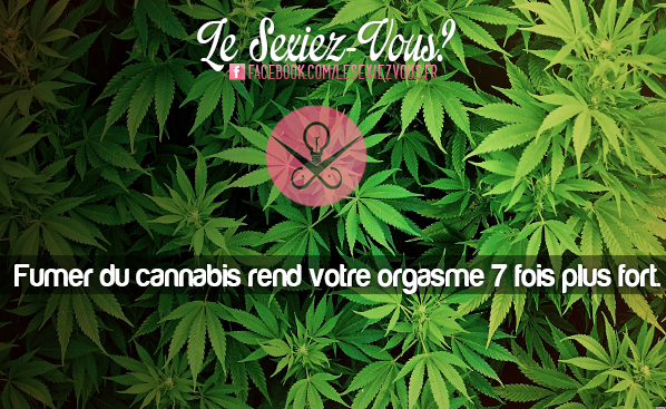 Lesexiezvxus's tweet photo. Cannabis + sexe http://t.co/cCUC5QmGfE