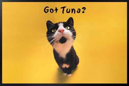 La Marea Eat & Drink (@eatdrink) on Twitter photo 