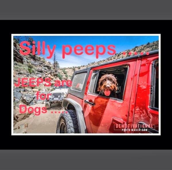 jeepindogs's tweet photo. Photo by Instagram user @jumpnjill  http://t.co/7M2HKD0ECu #jeepindogs #jeep #jeeplife #itsajeepthing http://t.co/Mwm46v530c