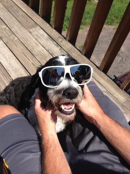 kbrew26point2's tweet photo. Bedo rockin his shades #summerintheyoop http://t.co/FBt2beETHe