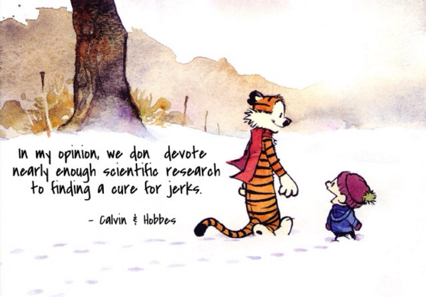 Calvin and Hobbes Fan Account tweet media