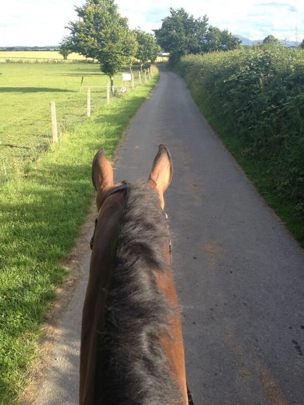 Not long now til <a href="/camphire_event/">Camphire Horse Trials</a> , Jagger's feeling fit and fresh! 💪