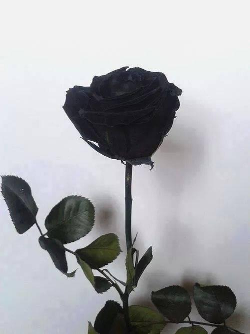 FuckSoc's tweet image. 