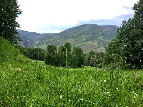 vailmtn's tweet image. Anytime. RT @clancasterr: Take me back, Colorado.