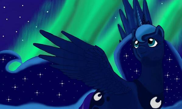 _Night_Princess tweet picture