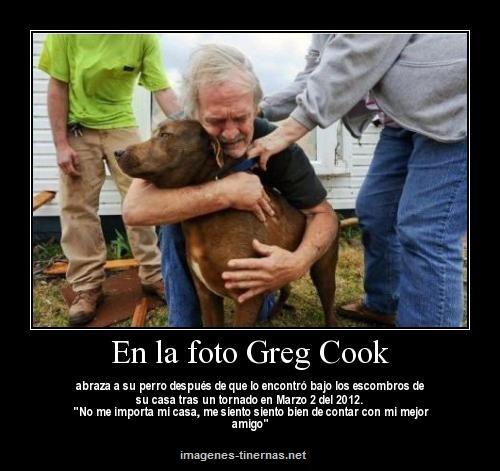 REFUGIOLACANDEL's tweet image. Cuando ya no nos queda nada, ELLOS siempre están ahí...

*PASE LO QUE PASE, ELLOS JAMÁS TE ABANDONARÁN*