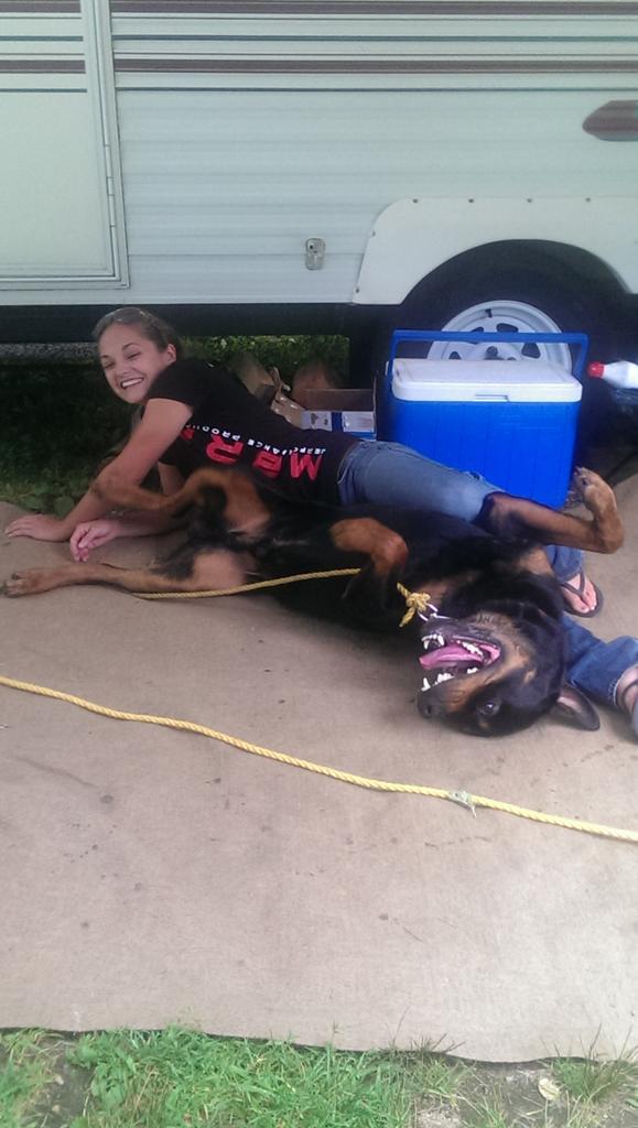 Dennis Sousa tweet media