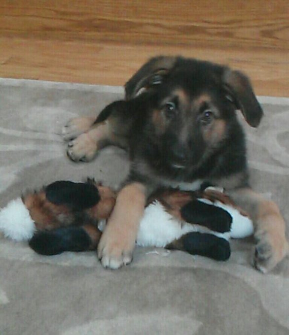 Watch Scarlett Bordeaux's leaked NSFW photo on TwXstars