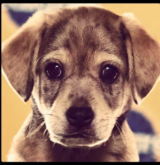 Maribel Rendon (@MaribelRendon9) | Twitter